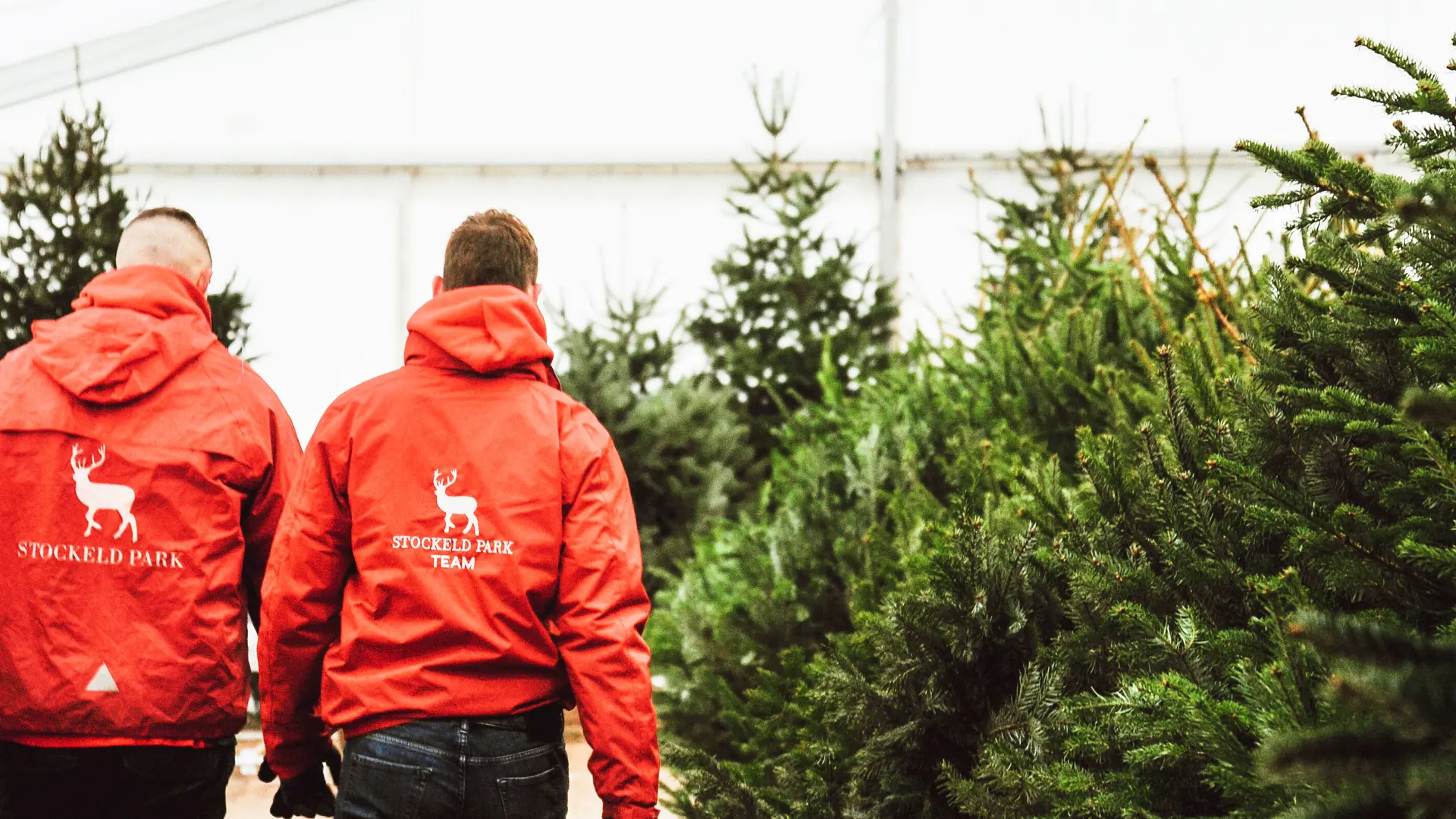 Christmas tree ordering and fulfilment system
